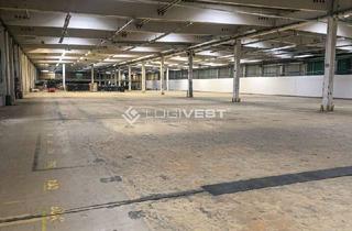 Gewerbeimmobilie mieten in 04720 Döbeln, Lagerhalle zur vielseitigen Nutzungsoption nahe der A14!