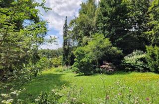 Grundstück zu kaufen in Viehweideweg 18-20, 65719 Hofheim am Taunus, Parkgrundstück mit zwei Bauplätzen, unverbaubare Lage