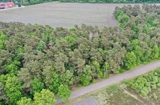 Immobilie kaufen in 27404 Zeven, 6.856 m² Waldgrundstück zwischen Bademühlen und Badenstedt