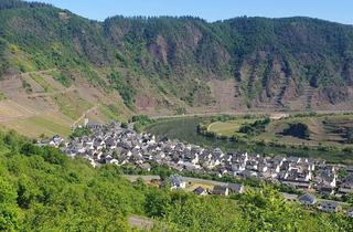 Gewerbeimmobilie kaufen in L 106, 56814 Bremm, Aktiver Regent-Rotwein-Weinberg in Steillage (Schlemmertröpfchen) in Bremm an der Mosel auf Auktion