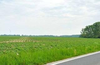 Gewerbeimmobilie kaufen in Genroher Str., 41379 Brüggen, 19.437 m² Ackerlandgrundstück in 41379 Brüggen -BORN