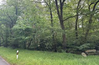 Grundstück zu kaufen in 27801 Dötlingen, 7.280m² Wald in Dötlingen