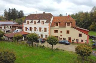 Mehrfamilienhaus kaufen in 66914 Waldmohr, Waldmohr - Historische Mohrmühle mit riesigem Grundstück!