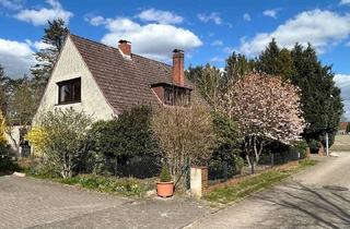 Einfamilienhaus kaufen in 27419 Sittensen, Sittensen - Volksbank Immobilien: Gepflegtes Wohnhaus mit Einliegerwohnung