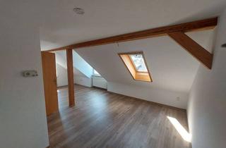 Wohnung mieten in Rudolf-Breitscheid-Straße 28, 06502 Thale, Großzügige renovierte 1-Raum-Wohnung