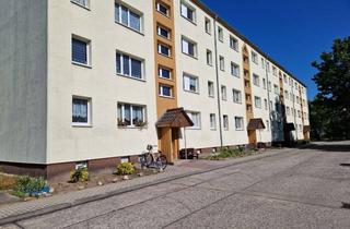 Wohnung mieten in Bahnhofstraße 19b, 03253 Doberlug-Kirchhain, großzügige 2-Raum-Wohnung