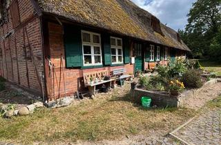 Bauernhaus kaufen in 19086 Plate, Großes Reetdach-Bauernhaus mit 2 ha Ackerland und zusätzlichem Baugrundstück, provisionsfrei