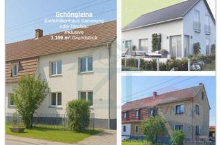 Villa kaufen in 07646 Schöngleina, Neubau einer Stadtvilla oder Sanierung einer Doppelhaushälfte mit 1.109 m² Garten in Schöngleina