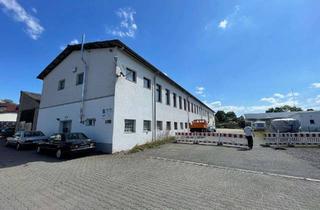 Gewerbeimmobilie mieten in 75417 Mühlacker, Produktions- und Lagerhalle