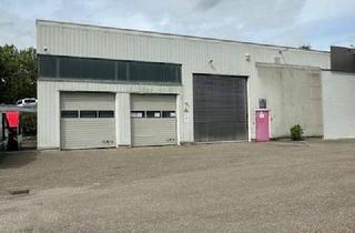 Gewerbeimmobilie mieten in Steinbeissstr. 1-3, 74360 Ilsfeld, Lagerhalle, ebenerdig bedienbar