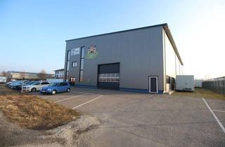 Büro zu mieten in Römerstraße 15b, 84130 Dingolfing, Attraktive Gewerbehalle mit Büro in zentraler Lage von Dingolfing
