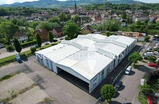 Gewerbeimmobilie kaufen in 79356 Eichstetten, Repräsentative Gewerbeimmobilie mit Hallen- und Verwaltungsflächen auf 5.800 m² Grundstück.