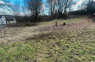 Grundstück zu kaufen in 56479 Waldmühlen, **Waldmühlen: Erschlossenes Baugrundstück (4.715 m²) nahe Limburg – Naturverbunden