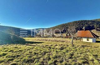 Grundstück zu kaufen in 63874 Dammbach, Idyllisches Baugrundstück in Dammbach: Natur pur wartet auf Sie!