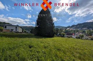 Grundstück zu kaufen in Flur-Nr. 404/8, 95485 Warmensteinach, Bauherren aufgepasst: Baugrundstück in Warmensteinach