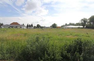 Grundstück zu kaufen in 06179 Steuden, Baugrundstück in Steuden-Provisionsfrei