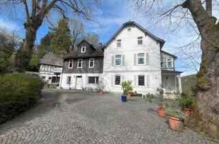 Gewerbeimmobilie kaufen in 35683 Dillenburg, Herrschaftliche Villa mit Gewerbe- und Vermietungspotenzial in exklusiver Lage