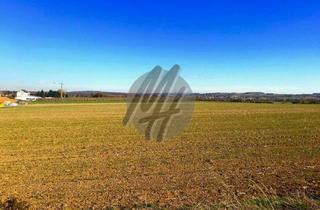 Gewerbeimmobilie mieten in 64832 Babenhausen, SCHNELL VERFÜGBAR ✓ NÄHE BAB ✓ Grundstück / Freilagerflächen (16.000 m²) zu vermieten