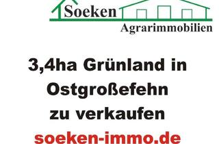 Gewerbeimmobilie kaufen in 26629 Großefehn, 3,4ha Grünland in Ostgroßefehn *HF2504*