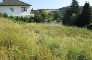 Grundstück zu kaufen in Baumbachstraße, 65329 Hohenstein, Baugrundstück stadtnah im herrlichen Taunus