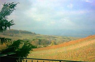 Immobilie mieten in Bornstraße, 55263 Wackernheim, Bornstraße, Ingelheim am Rhein