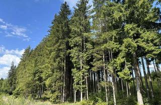Gewerbeimmobilie kaufen in 86920 Denklingen, Wald bei Denklingen-Epfach