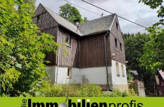 Einfamilienhaus kaufen in 95131 Schwarzenbach a Wald, 1352 - Schnäppchen: Einfamilienhäuschen im Frankenwald