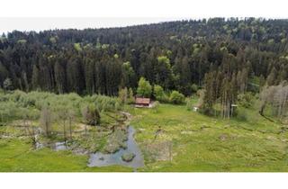 Haus kaufen in 94481 Grafenau, Grafenau - Haus im Wald in Alleinlage