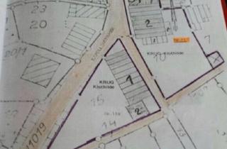 Bauernhaus kaufen in 97900 Külsheim, Külsheim - Bauernhaus mit Charakter auf ca. 1.300 m² Grundstück