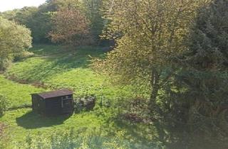 Einfamilienhaus kaufen in 65510 Idstein, Idstein - 1FH Bungalowstil-in herrlicher Naturlage Nähe IdsteinGlashütten