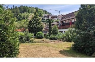 Haus kaufen in Dorfstr. 29, 31, 77776 Bad Rippoldsau-Schapbach, Bad Rippoldsau-Schapbach - Mehrzweckimmobilie