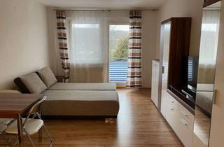 Wohnung kaufen in Hagerstraße 26, 08645 Bad Elster, Gemütliche möblierte Wohnung im Kurort Bad Elster