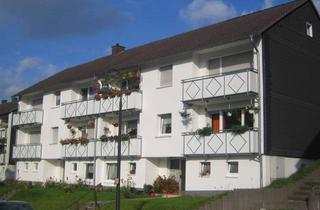 Wohnung mieten in Marienburger Str. 16b, 57319 Bad Berleburg, Single-Apartment mit sonnigem Balkon