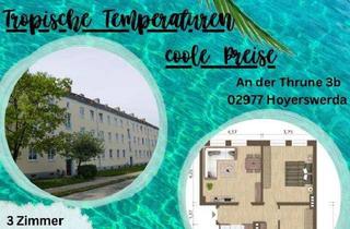 Wohnung mieten in An Der Thrune 3b, 02977 Hoyerswerda, Sommerangebot - 3-Raumwohnung mit Dusche in der Altstadt