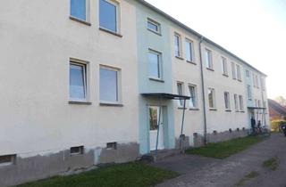 Wohnung mieten in Dorfstr. 54/55, 17392 Putzar, Schnäppchen! 2-Zimmer-Wohnung in Boldekow, OT Putzar