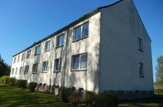 Wohnung mieten in Dorfstr. 54/55, 17392 Putzar, Helle 2-Zimmer-Wohnung in Boldekow, OT Putzar zu vermieten