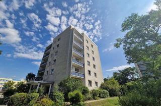 Wohnung mieten in Anne-Frank-Straße 26, 03050 Sachsendorf, **FRISCH RENOVIERT**3-Zimmer-Wohnung // Balkon // Einbauküche // Bad mit Wanne // ab sofort