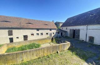 Haus kaufen in 04808 Falkenhain, Drei-Seiten-Hof - ländliche Idylle mit Potential