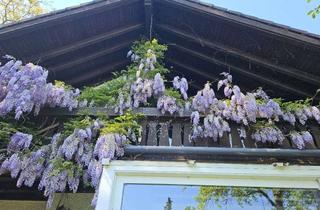 Einfamilienhaus kaufen in 78315 Radolfzell, Radolfzell-Mettnau - Freistehendes Einfamilienhaus mit Doppelgarage und großem sonnigen Grund