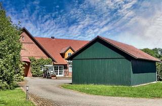 Haus kaufen in 31604 Raddestorf, 1a Resthof mit Weide- und Ackerland rundherum!