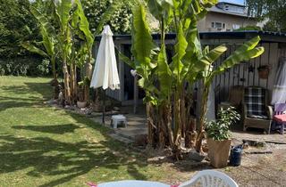 Einfamilienhaus kaufen in 74924 Neckarbischofsheim, Großzügiges Einfamilienhaus mit wunderschönem Garten – auch als Zweifamilienhaus nutzbar