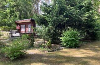 Haus kaufen in Langer Grund 2A, 16244 Schorfheide, Freizeit und Erholung in ruhiger Waldlage bei Finowfurt