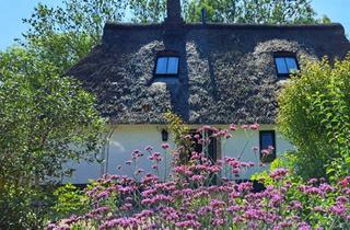 Haus kaufen in 25704 Nordermeldorf, Reet auf dem Dach | Nordsee vor der Tür