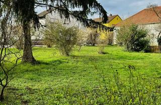 Einfamilienhaus kaufen in 67259 Heuchelheim, ***EINFAMILIENHAUS MIT SEPARATEM GRUNDSTÜCK ZUR BEBAUUNG IN GUTER LAGE***