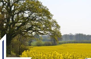 Grundstück zu kaufen in 24800 Elsdorf-Westermühlen, #3 Exzellentes Baugrundstück für einen Bungalow in Elsdorf-Westermühlen | Lütt Immobilien | Ihr Immobilienmakler in Kiel