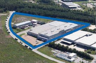 Gewerbeimmobilie kaufen in 92442 Wackersdorf, Produktionsstätte / Logistikzentrum / Investitionsobjekt – flexibel nutzbar - Expansionspotenzial