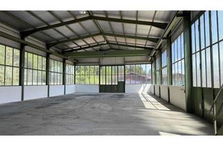 Gewerbeimmobilie mieten in Eschenau, 87647 Unterthingau, Freistehende Lagerhalle mit Portalkran