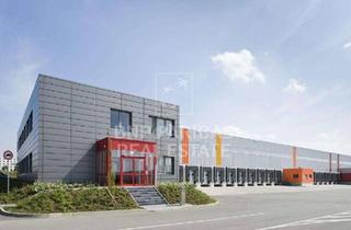 Gewerbeimmobilie mieten in 23843 Bad Oldesloe, Moderne Logistikfläche in Toplage ab ca. 4.800 m²