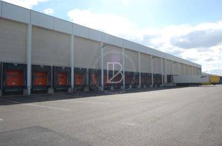 Gewerbeimmobilie mieten in 55268 Nieder-Olm, "BAUMÜLLER AG" - ca. 7.500 m² Hallenfläche - SOFORT