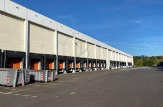 Gewerbeimmobilie mieten in 55268 Nieder-Olm, "BAUMÜLLER AG" - ca. 28.500 m² Hallenfläche - KURZFRISTIG